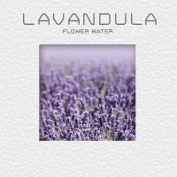 lavandula_button_plain