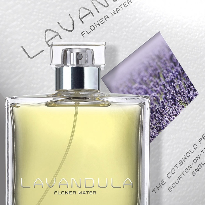 lavandula_cameo_1407195301